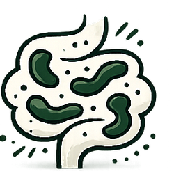 5 Probiotic Strains